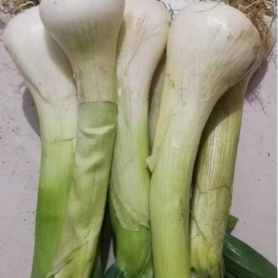 中秀蔬菜店