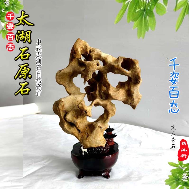 定番，人気SALE § 天然鑑賞石／中国太湖石？ §