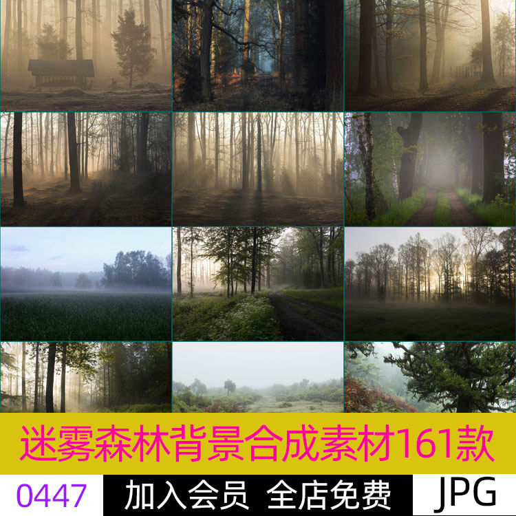 迷霧森林雲霧效果外景高清jpg圖片後期合成素材