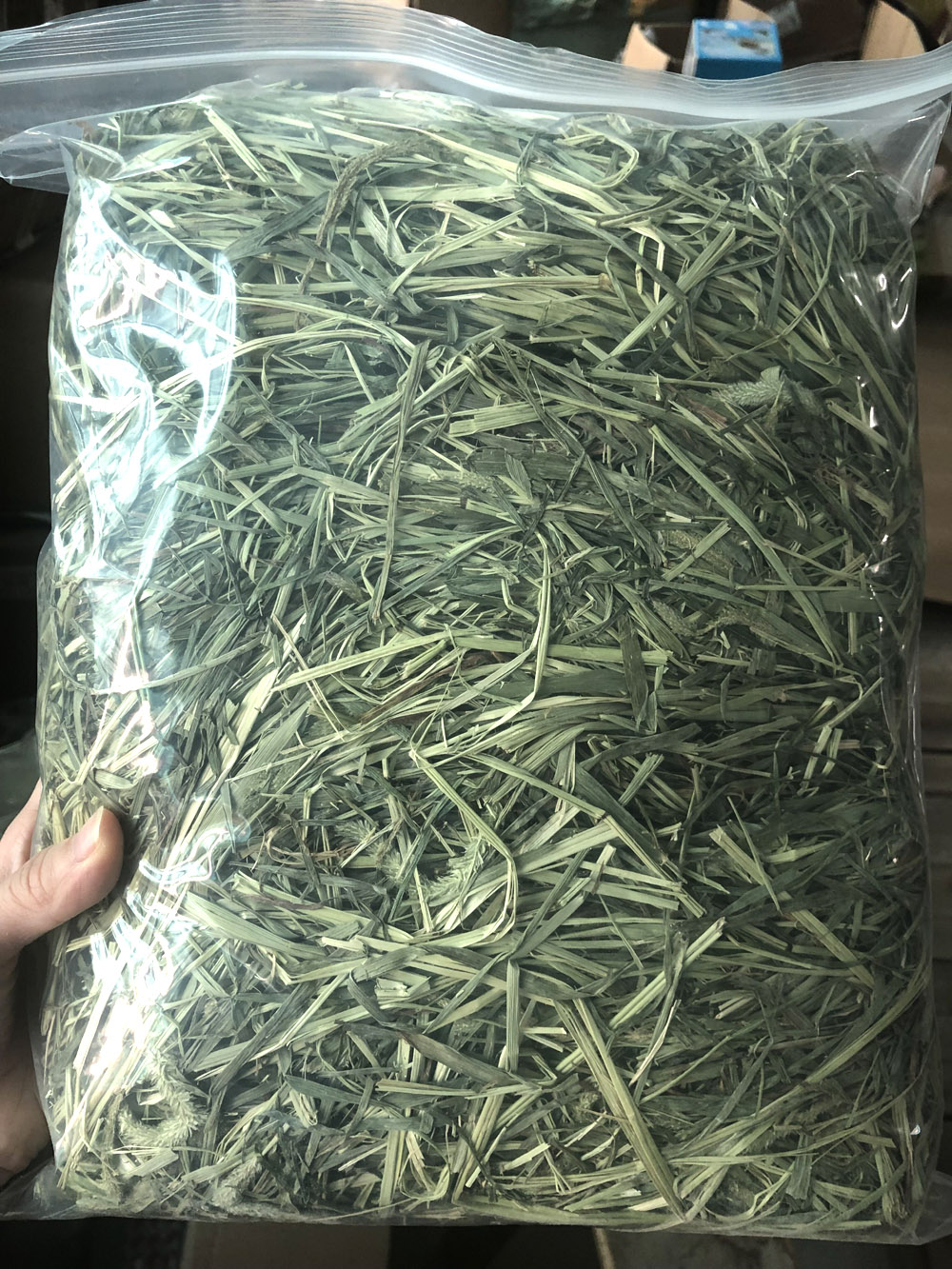 Three packs of Gansu Timothy 21 years north of the dried whole grass section baking Timothy grass three brother's house