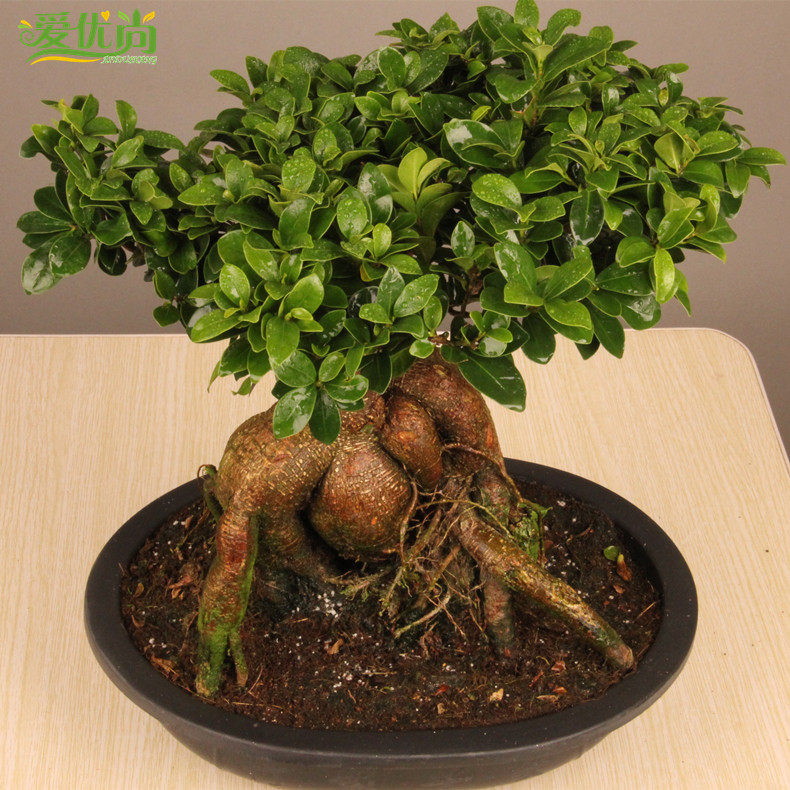 �������辰000188