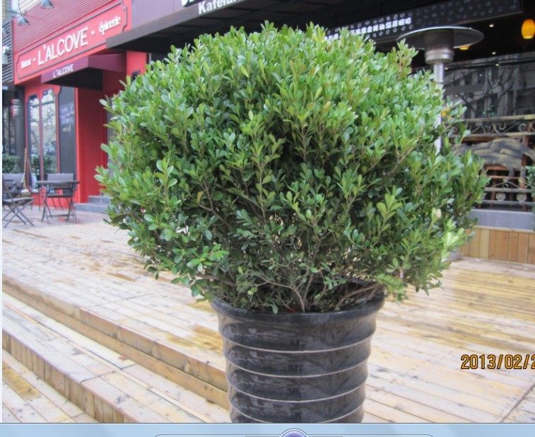 ���������� ����