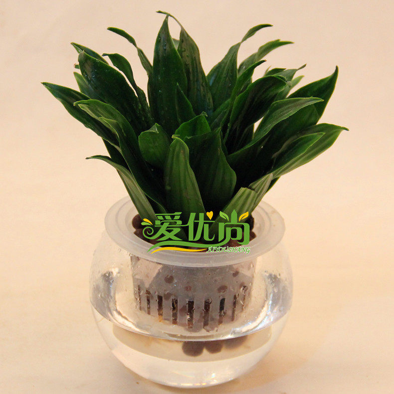 ������ˮ��̫����С����