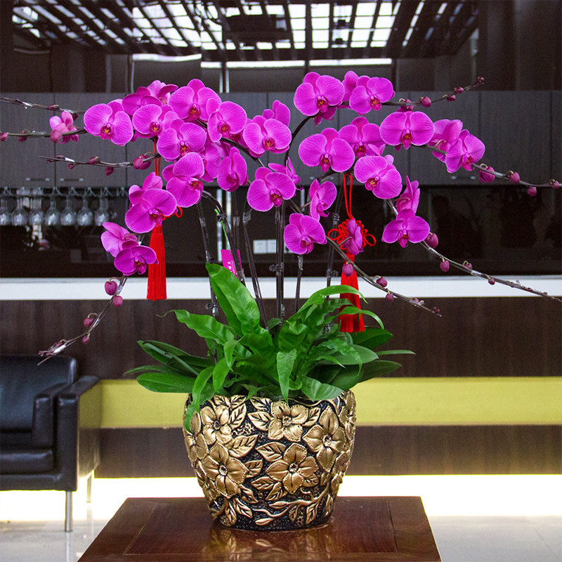 �����к���������