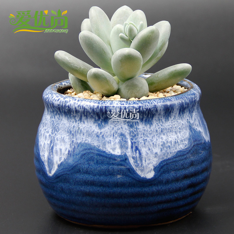 �����ж���ֲ��387