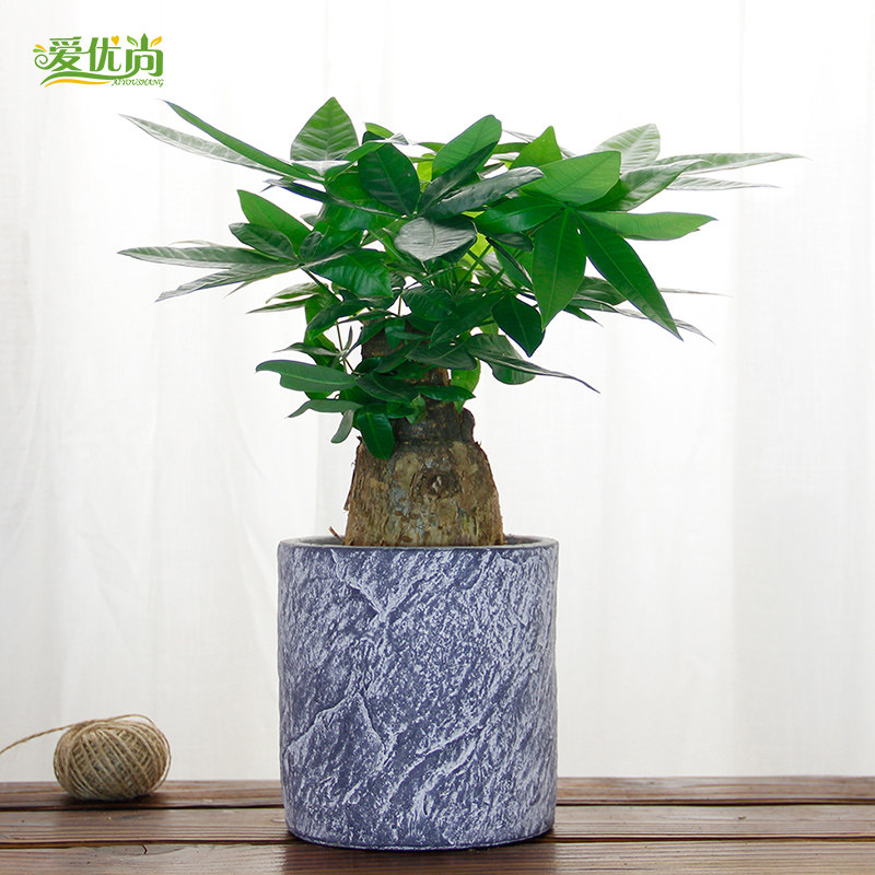 ������С���������Է�����