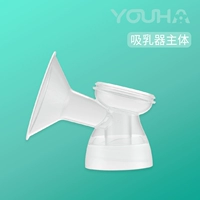 Основное тело