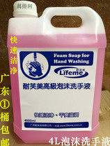  Guangdong Neffumei foam hand sanitizer clean moisturize and protect hotels hotels family factories cleaning special