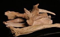 Sandalwood fu fang you