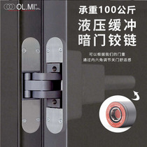 Italian invisible door automatic closing hinge hydraulic buffer rebound silent wooden door concealed imported AGB hinge