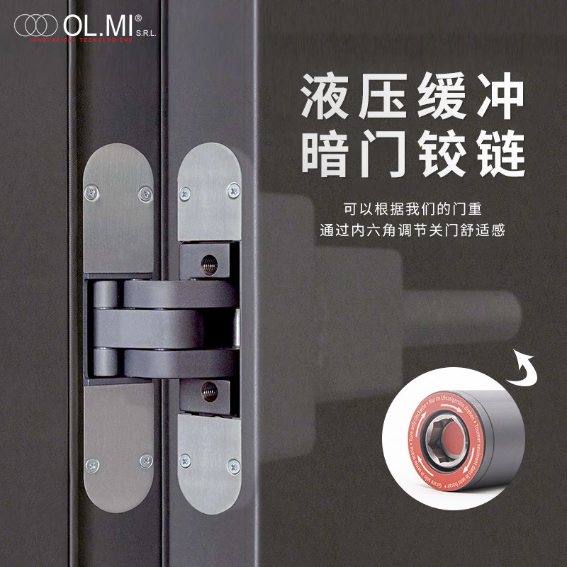 Imported from Italy AGB invisible door automatic closing hinge hydraulic buffer rebound silent wooden door concealed hinge