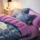 Coral nhung bốn mảnh mùa thu và mùa đông dày flannel cotton quilt tấm bìa loại flannel giường