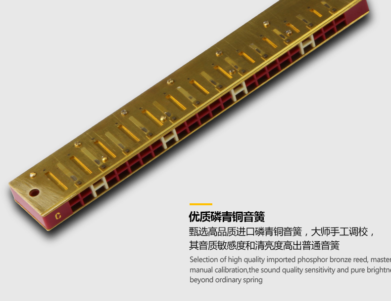 Suzuki Harmonica Nhật Bản 24 lỗ đa âm dành cho người lớn mới bắt đầu C Học sinh trẻ em Học tập tự học chơi nhạc cụ - Nhạc cụ phương Tây guitar điện yamaha