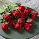10 Red Snow Mountain Rose