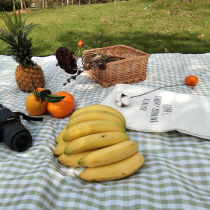 Outdoor Picnic Mat Picnic Cloth Waterproof Portable Anti-Damp Cushion Leisure Picnic Lawn Wild Cooking Mat Picnic Supplies