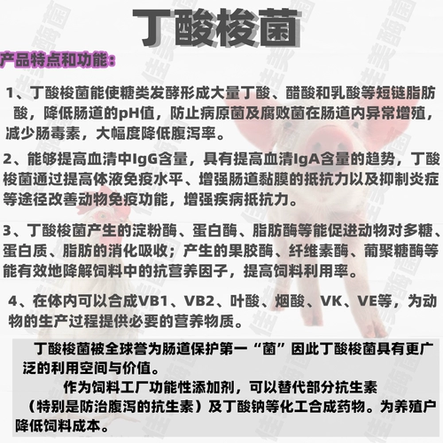 Clostridium butyrate (кишечные бактерии) Feed Additives Пробиотики пробиотики способствуют росту и предотвращают диарею