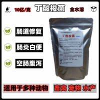 Полностью водорастворимая Clostridium Butyricum 1 млрд./г 500г