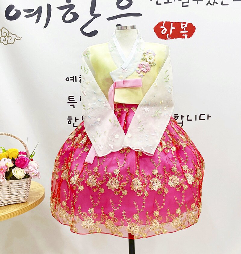 South Korea imported fabric girls new Hanbok stage performance Hanbok skirt YE-TZ7173