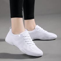 2024 Competitive Aerobics Shoes for Men and Women Cheerleading Shoes for Women Training and Examination Shoes Aerobics Broadcasting Gymnastics Shoes