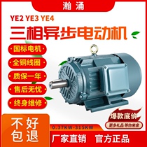 Three-phase motor Y90L-4 1 5KW 0 75 1 1 90L-2 2 2 KW Full copper YE2 electric motor 380V
