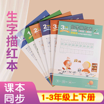 miao hong ben calligraphy childrens primary secondary and tertiary grade park synchronization beginners stroke vocabulary Chinese children copybook