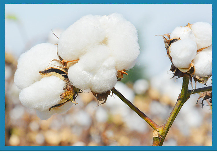 Chaussettes - collants N725X20791 - Ref 754296 Image 16