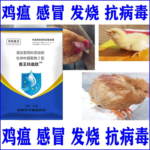 禽王 Пептидная пептидная куриная утка с пептидом и густой голубной птичкой использует антивирусную гриппу Новую городскую эпидемическую чуму Чудовую болезнь качает головой к храпу с куриной медициной