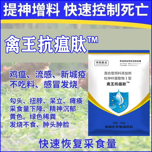 禽王 Пептидная пептидная куриная утка с пептидом и густой голубной птичкой использует антивирусную гриппу Новую городскую эпидемическую чуму Чудовую болезнь качает головой к храпу с куриной медициной