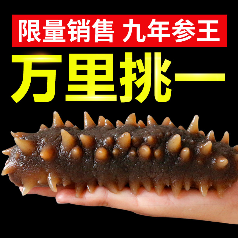 (Dare to compare the quality of any one) 9 years of the King 500g Dalian sea cucumber dry goods sea Sheng dry special price