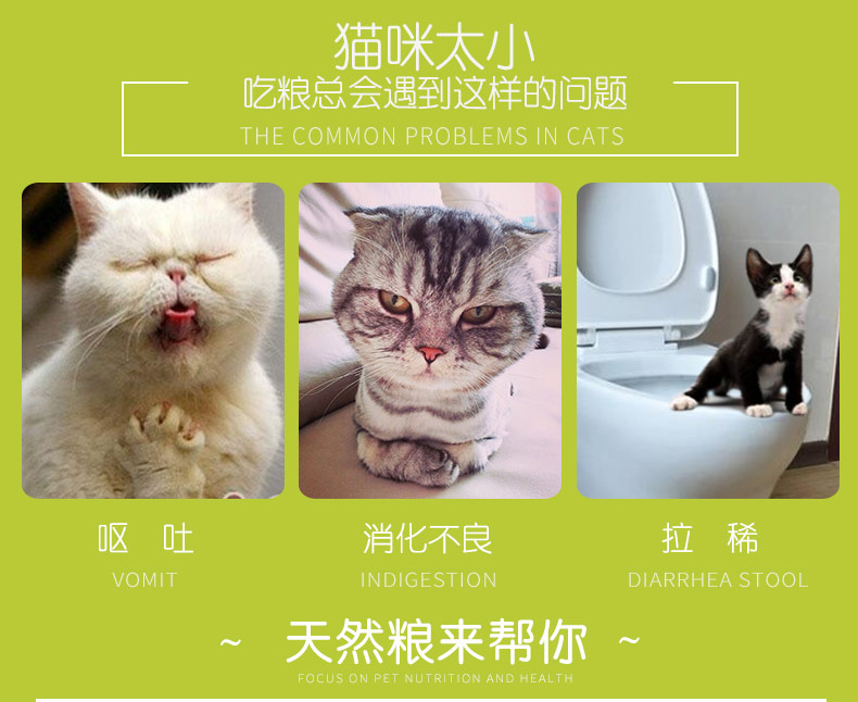 3 gói thức ăn cho mèo con mèo Mai Fudi 500g thịt cá thức ăn cho mèo thời kỳ vắt sữa thức ăn 1,5kg thức ăn tự nhiên của mèo Anh - Cat Staples royal canin cho mèo con