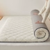 Dày Ấm Thịt Cừu Nệm Đệm Hộ Gia Đình Chần Gòn Mùa Đông Xốp Thảm Tất Nam Ký Túc Xá Sinh Viên Đơn nệm kim đan Nệm