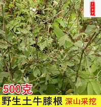 福建中草药新品红牛膝土牛膝倒钩草对节草怀牛膝倒扣草干货500g