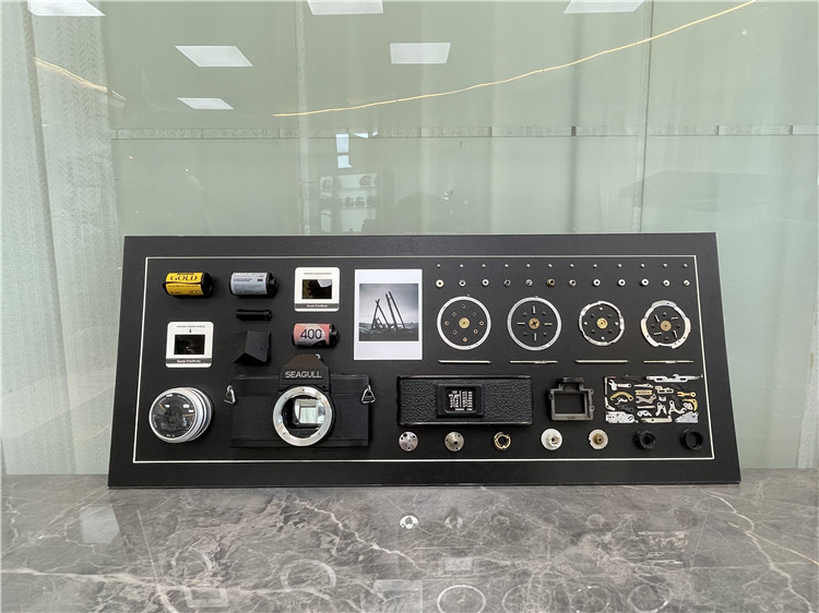 Original Seagull Real Machine Disassembly Parts Framed Painting Truth Machine Mounted Painting Solid Craft Decorative art Deco Art Deco Art Deco