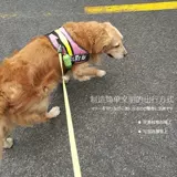 Капсула, туалет, туалетный мешок для выхода на улицу, портативный мусорный мешок