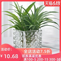 Home simple square glass square cylinder desk table ornaments countertop green daffodil water culture flower device