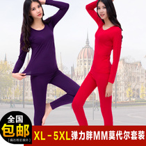 Fat plus size fat MM elastic round neck soft lady modal autumn clothes autumn pants thin thermal underwear set