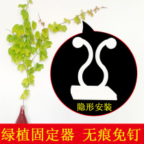 Simulation green plant Vine Fixer Invisible Turquoise Wall Fixer Green Ole Climbing Wall Fixer Home Without Mark Clip