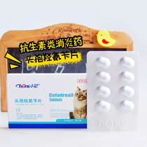 Bni pet oral cephalosporin anti-inflammatory drugs Cat Moss skin disease anti-inflammatory dog dermatitis purulent skin disease urinary tract infection