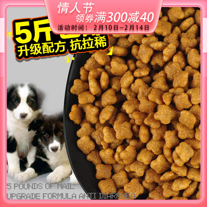 Full of 5 catties to be reigned in love for bulk teddy gold wool clothing BUS puppies to dog beef dog food 500g 