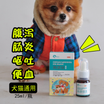 Magic dysentery kangtic pet dog diarrhea vomiting puppies cat diarrhea cat enteritis vomiting blood stool