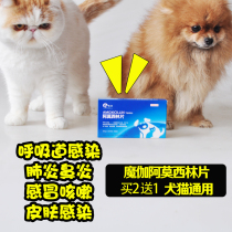 Moga Amoxicillin Tablets Pet Cat Dog Cold Cough Pneumonia Bronchitis Dog Nest Cough Cough Cat Nasal Anti-Inflammatory Drugs