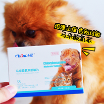 Bni dog skin disease fungus bacteria allergic medicine atopic dermatitis oral cat cat cat ringworm eczema antipruritic medicine
