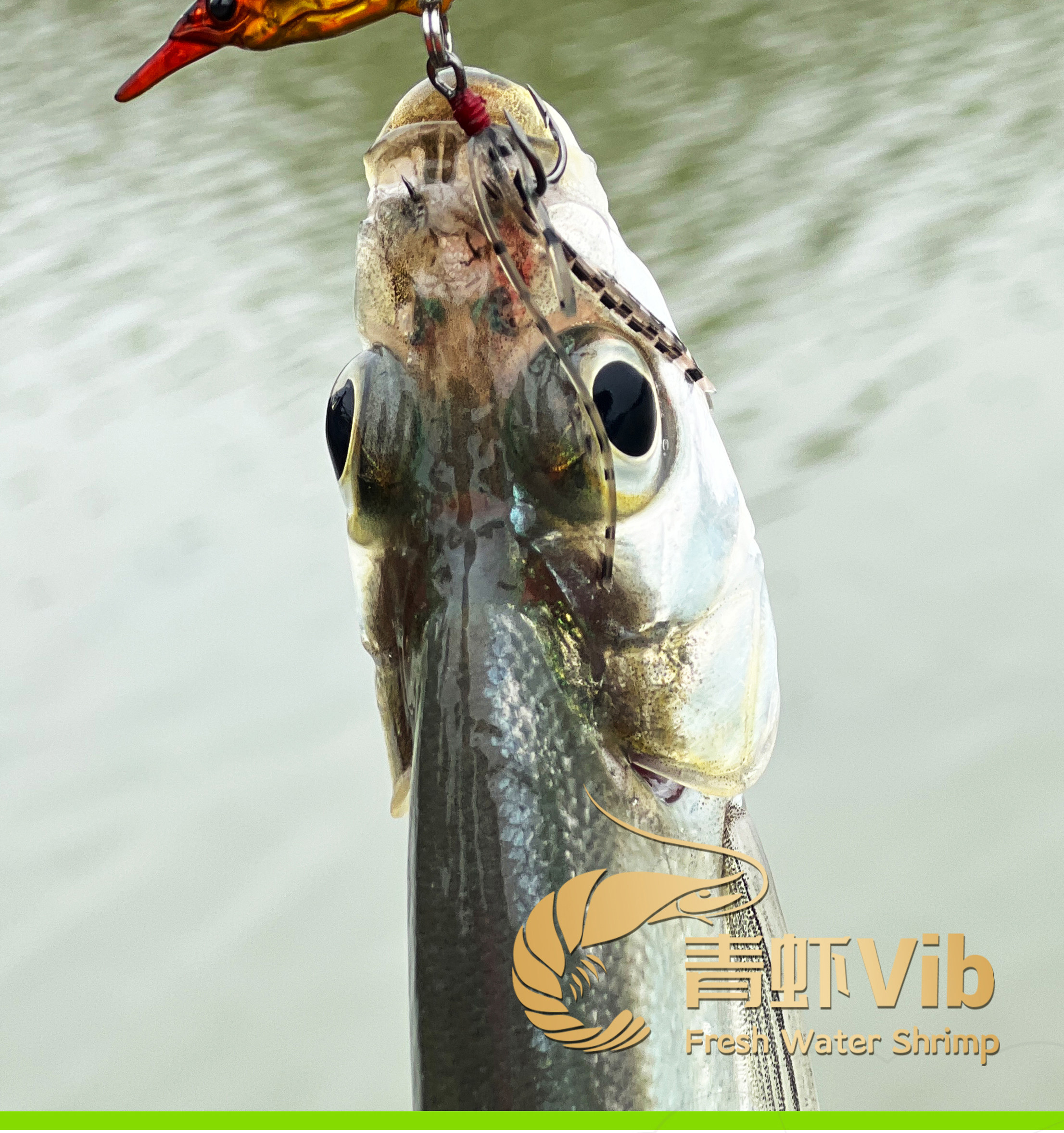 Дорожные суб- приманки 新款大河奔流青虾vib金属饵活虾路亚饵鲶鱼红尾翘嘴拟饵假饵套装 Rivers flowing