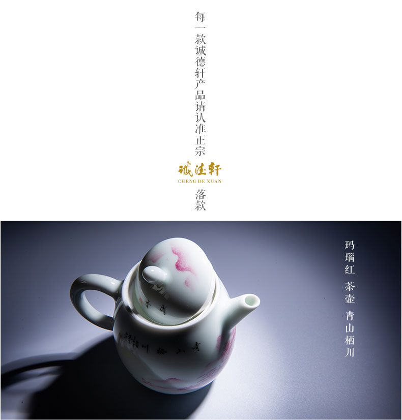 Cheng DE xuan high - grade fine hand - made kung fu tea set of jingdezhen ceramics powder enamel kettle 45 castle peak of sichuan