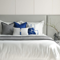 Minimyo Klein Blue High-end Showroom Decent room Bed Goods Light Extravagant soft-fit Decent Board Room Bed with Accessories Tapestries