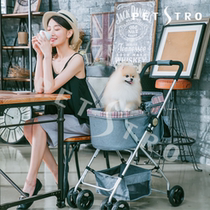 Pedeo Pet Stroller 410PA-Aluminum Alloy Light Weight Two-way Ceiling Folding Teddy Cat Dog Cart Ash