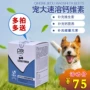 Pet lớn ngay lập tức vitamin canxi thú cưng chó mèo con chó con xương canxi bột yếu tố sản phẩm sức khỏe vitamin sữa mèo con