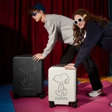 Чемодан, сумка, вместительная и большая коробка, 20 дюймов, 24 дюймов