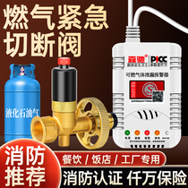 Gas emergency automatic shut-off valve Natural gas liquefied gas electromagnetic emergency shut-off valve