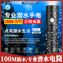 SKYWOODS professional deep diving flashlight underwater waterproof strong light rechargeable super bright outdoor special lighting